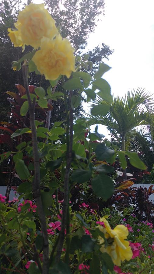 Sun Suites Cozumel Ngoại thất bức ảnh